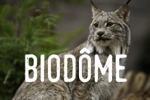 Biodôme - Ticketing