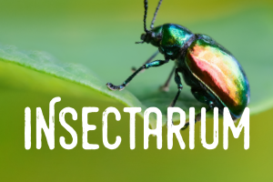 Insectarium - Ticketing
