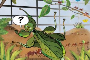 Insects Inspire Us... unbridled comic strips!