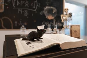 The potions workshop