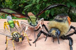 Insects' lives: Pollinators