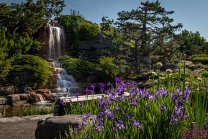 Alpine garden of the Botanical garden of Montréal