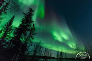 aurorae