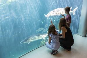 The Association Zoos and Aquariums (AZA) has renewed the accreditation of Montréal Biodôme