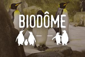 Biodôme - Special measures - Ticketing