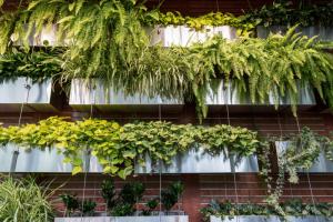 Discovering eco-technologies