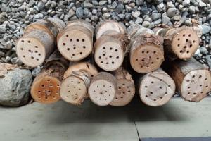 Discover pollinator nesting boxes, a boon for your garden!