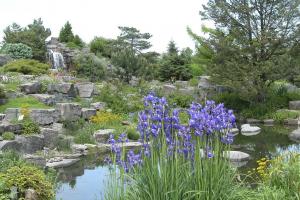 Jardin alpin