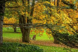 The Jardin botanique during Fall season