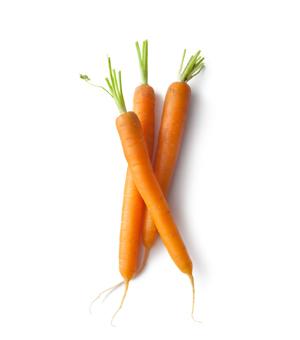 Potager et fines herbes