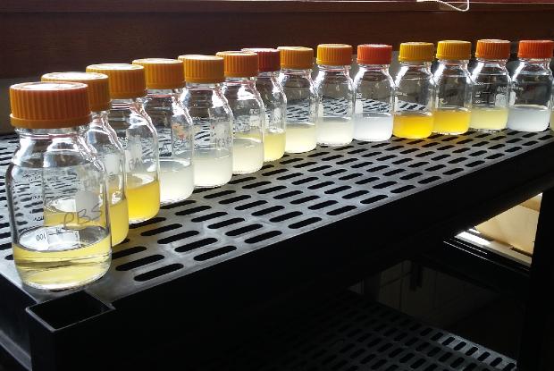Bacterial suspensions