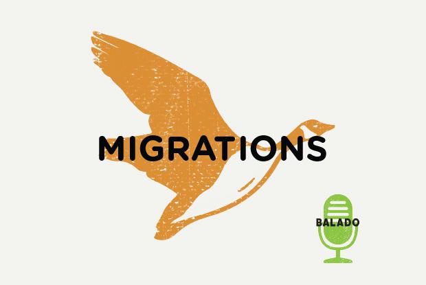 Balado Migrations d'oiseaux - Espace pour la vie