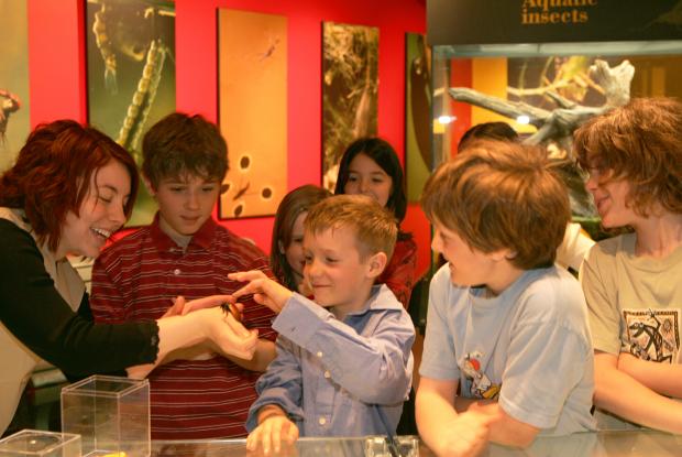 Animation scolaire à l'Insectarium en 2005.
