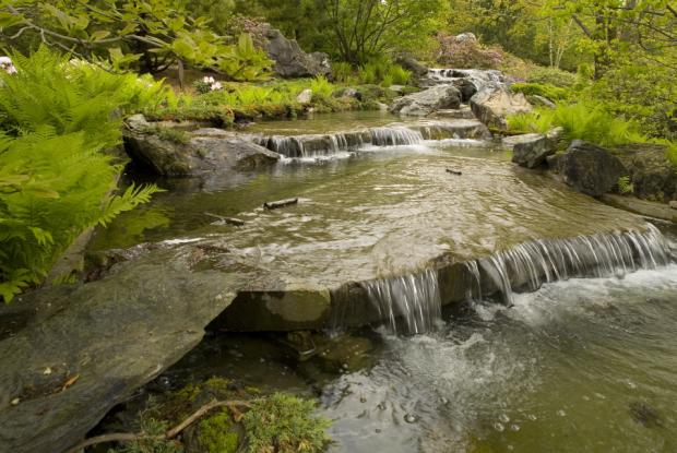 La cascade du Jardin japonais.