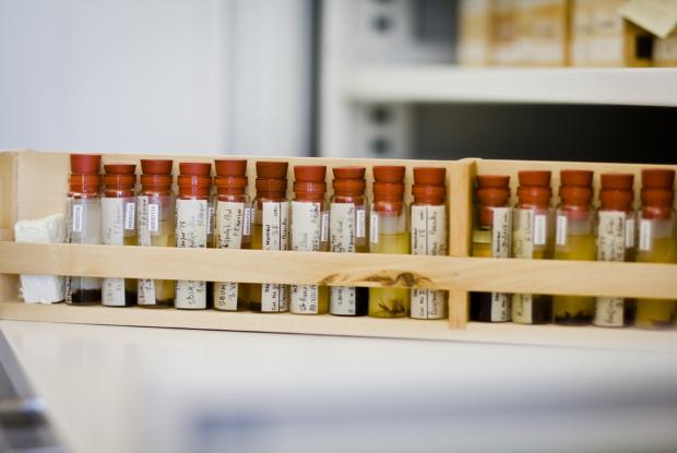 Preserving insect specimens | Space for life Preserving insect specimens | Space for life