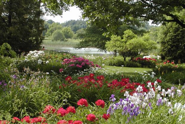Jardin du ruisseau fleuri et étang Jardin du ruisseau fleuri et étang.