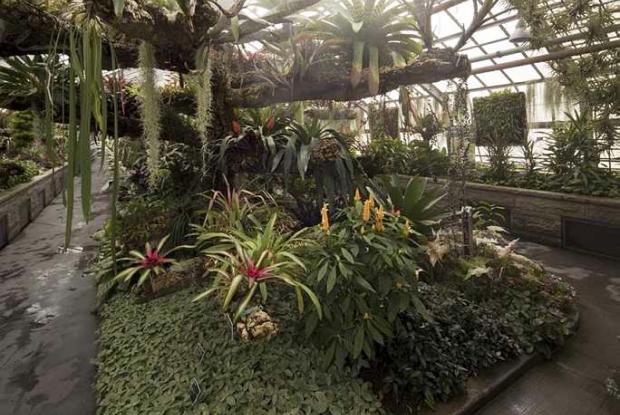 Tropical Rainforest Greenhouse