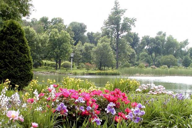 Ruisseau fleuri et Étangs
