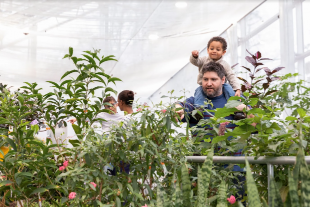Une famille s’amuse à chercher des papillons dans la végétation du Grand Vivarium.