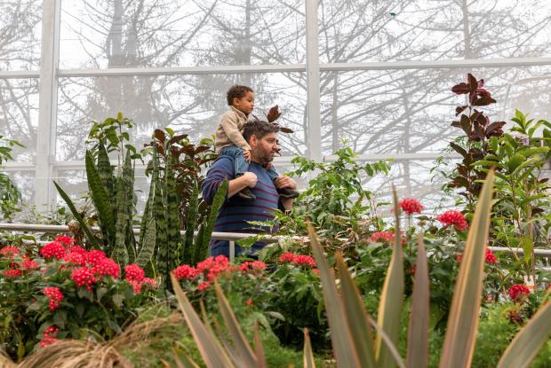 Le nouvel Insectarium : en symbiose avec la nature