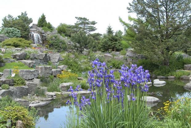 Jardin alpin