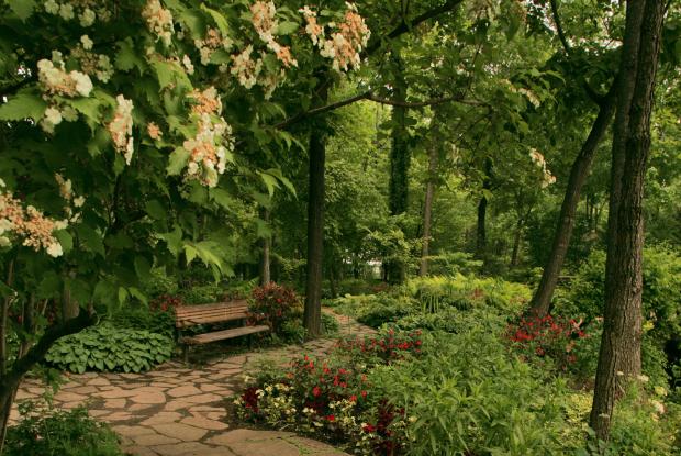 Jardin du sous-bois