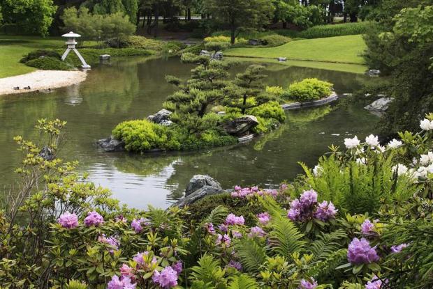 Jardin Japonais Espace Pour La Vie