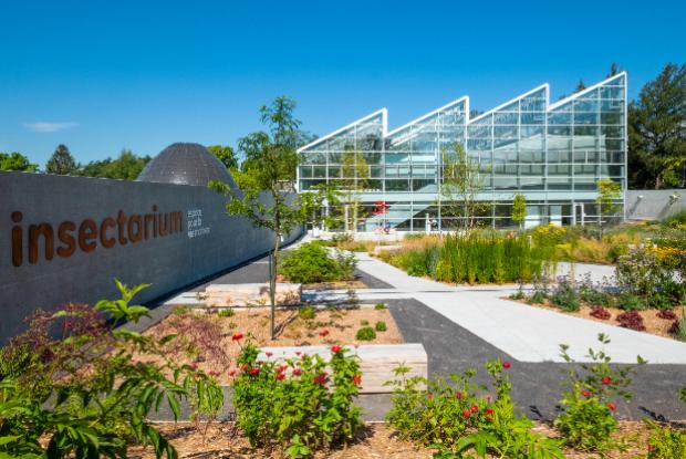Jardin des pollinisateurs de l'Insectarium en été 