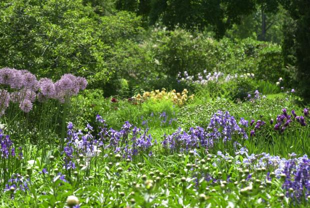 Pesticide-free gardening