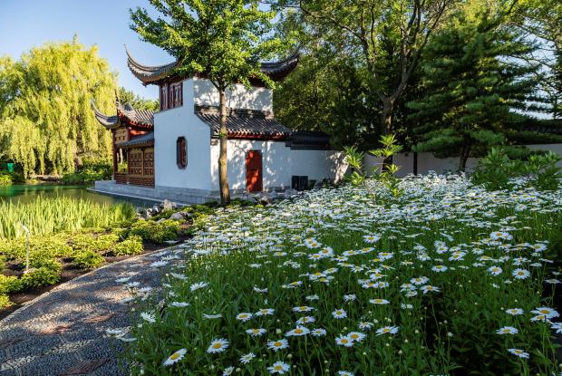 Chinese Garden | Space for life