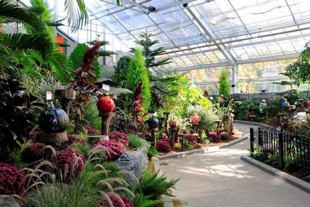 Main Exhibition Greenhouse decorated for Halloween Main Exhibition Greenhouse