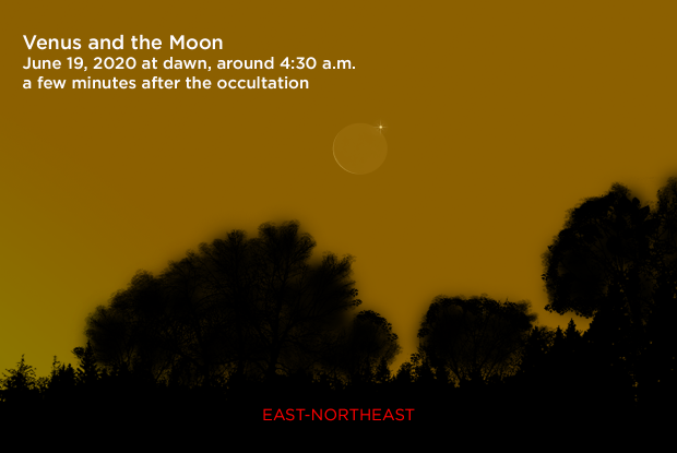 Venus near the crescent Moon at dawn on June 19, 2020