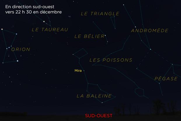 L'étoile Mira (Omicron Ceti) et ses environs (annotée)