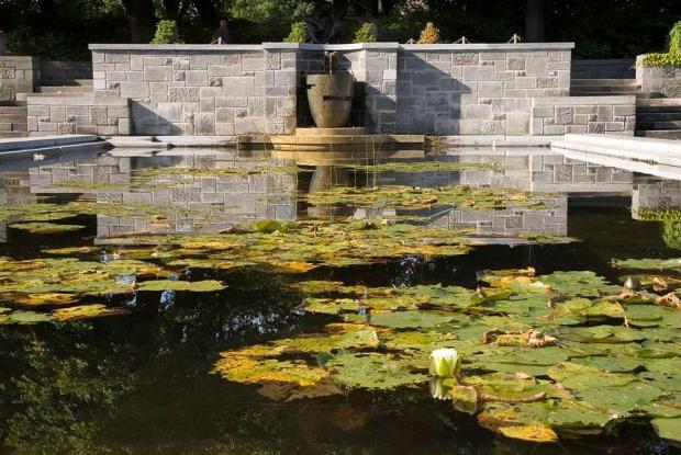 Bassin et cascade au Jardin des plantes vivaces Bassin et cascade au Jardin des vivaces