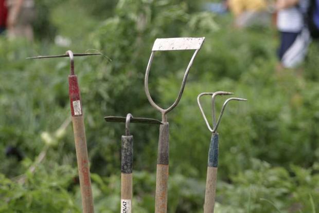 Gardening tools