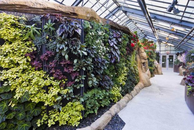 Begonias and Gesneriads Greenhouse