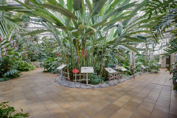 Jardin botanique - Hospitality Greenhouse