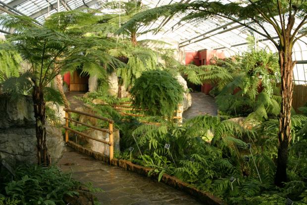 Ferns Conservatory.