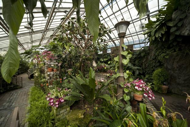 Orchids and Aroids Conservatory.