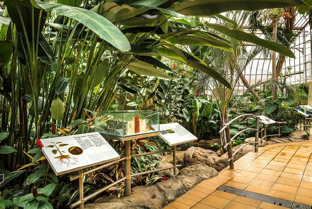 Jardin botanique - Molson Greenhouse