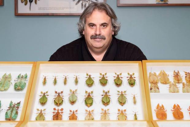 Stéphane Le Tirant devant des vitrines d'insectes naturalisés
