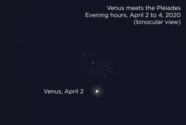 Venus meets the Pleiades, April 2, 2020