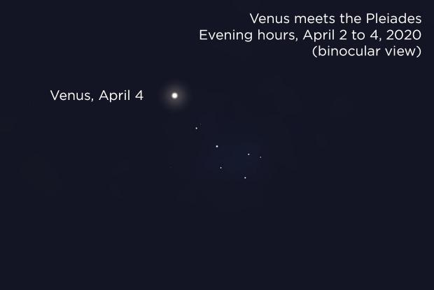 Venus meets the Pleiades, April 4, 2020