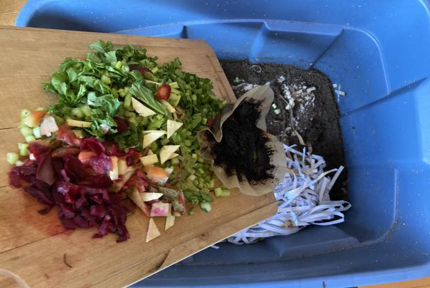 Légumes utilisés pour du vermicompostage