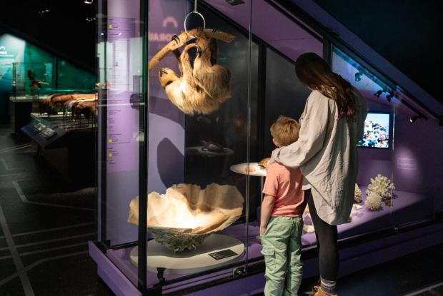 A young woman and a kid visit the Close-knit to Nature exhibition at the Biodôme