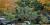 Les plantes du Jardin japonais