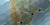 20240408 Total Eclipse - North America Map EN
