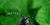 Anoplophora glabripennis