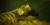 Goldenrod spider