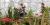 The new Insectarium: in symbiosis with nature